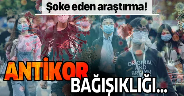 Dünyayı şoke eden araştırma! Koronavirüste antikor bağışıklığı...-1