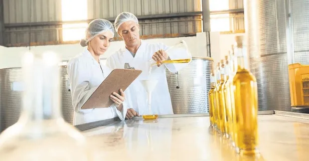 Zeytin ve zeytinyağı üretiminde Avrupa'da kriz Türkiye'de rekor!