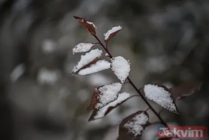 Kars’a mevsimin ilk karı yağdı