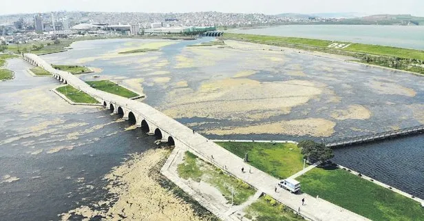 Büyükçekmece Gölünde korkutan görüntü! Adeta yeşile boyandı