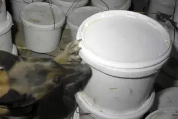 1 milyonu aşkın uyuşturucu hap!