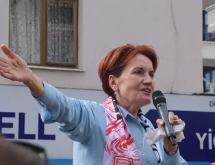 Akşener-Demirtaş arasında sıcak temas!