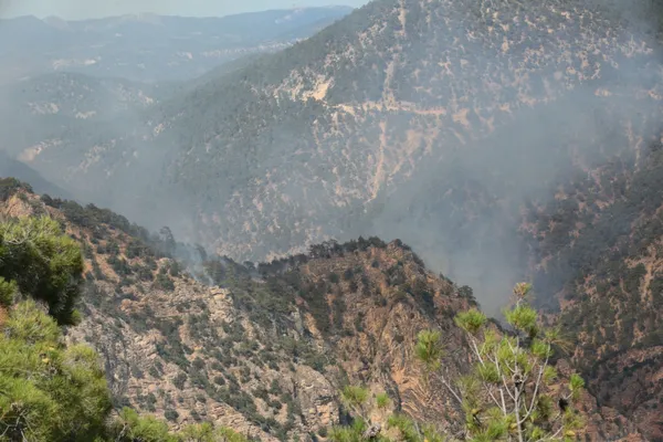 1690618905721.jpg Bolu'da yıldırım düşmesi sonucu çıkan orman yangını, 68 saat sonra kontrol altında-2