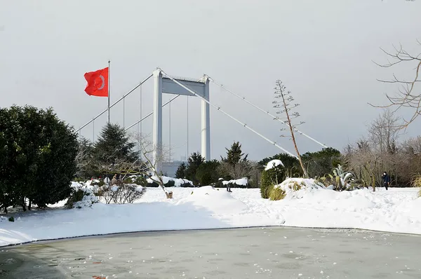 HAVA DURUMU | İstanbul'a kar yağışı geri mi dönüyor? Hafta sonuna dikkat! Meteoroloji 3 ili uyardı!-3