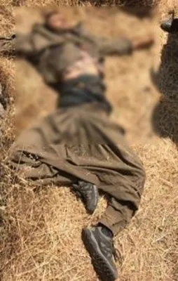 Öldürülen hainin üzerinden çıktı