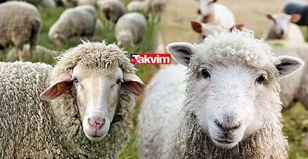 www takvim com tr