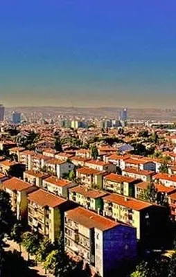 İstanbul'un hangi semtinde en çok nereli var?