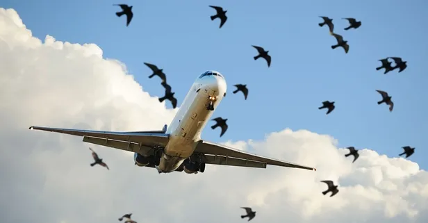 Türkiye'den otonom gökyüzü hamlesi 'Savuran!' Havalimanları yerli dijital zırhla korunacak