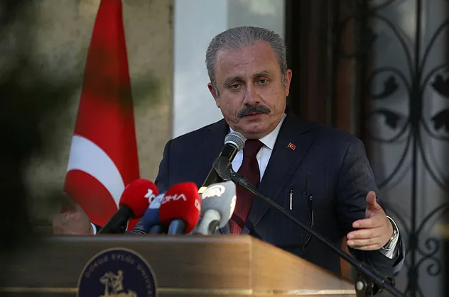 TBMM Başkanı Şentop'tan önemli görüşme