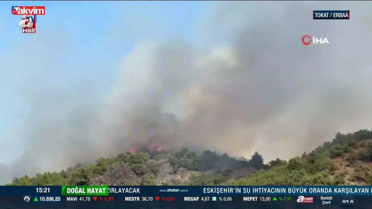 Tokat’ta orman yangını çıktı!