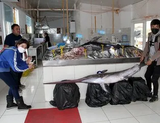 3,5 metrelik kılıç balığı yakalandı