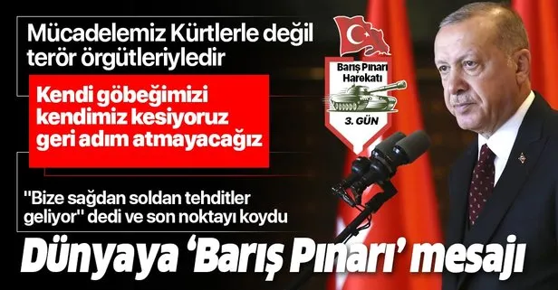 Son dakika: Başkan Erdoğan’dan dünyaya ’Barış Pınarı’ mesajı: Kim ne derse dedin...