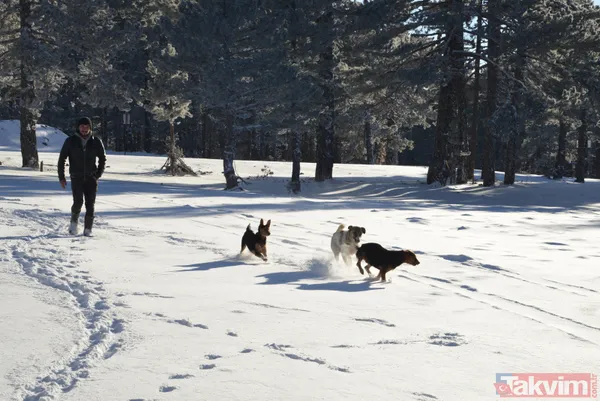 19 OCAK HAVA DURUMU | İstanbul kar yağışı! Meteorolojiden o bölgeler için uyarı... AFAD'dan flaş açıklama - 14