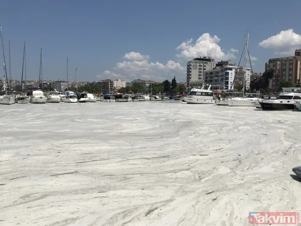 SON DAKİKA: Marmara Denizi için büyük tehlike! Deniz hala soğumadı müsilaj tehlikesi devam ediyor - 26