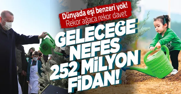 Rekor ağaca rekor davet: 252 milyon fidan toprakla buluşacak