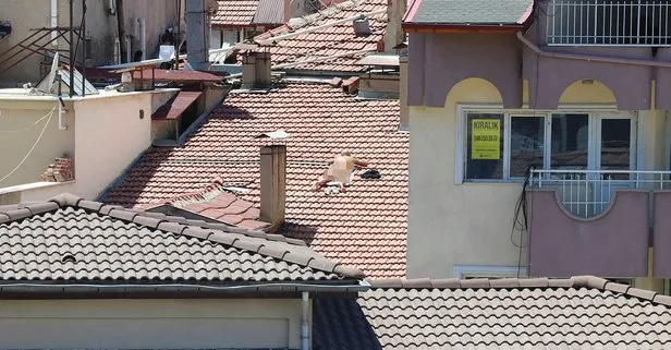Burdur'daki çatı sapkını gözaltında