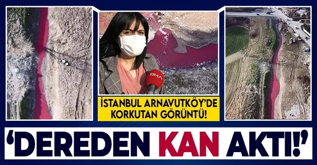 İstanbul’da korkutan görüntü! Dere kırmızıya boyandı