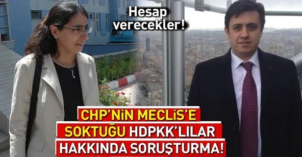 Terörist cenazesine katılan HDP’li Feleknas Uca ve Mehmet Rüştü Tiryaki hakkında soruşturma!