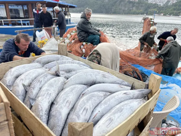 Denizden palamut fışkırdı! Tanesi 20 liraya düştü! Vatandaşın ve esnafın yüzü gülüyor - 1