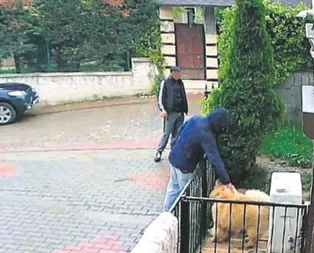 Herkül’ü çaldılar