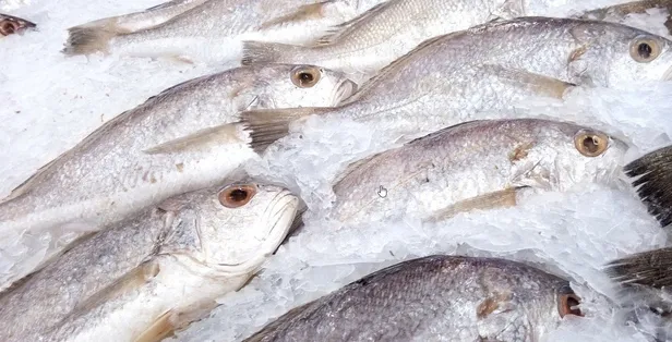 Bilim insanları açıkladı beyni günbegün yiyip bitiyor! Böyle masum görünüyor ama beyni her geçen gün tüketiyor meğer...-8