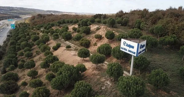 Kalyon Holding'ten rekor fidan dikimi-1