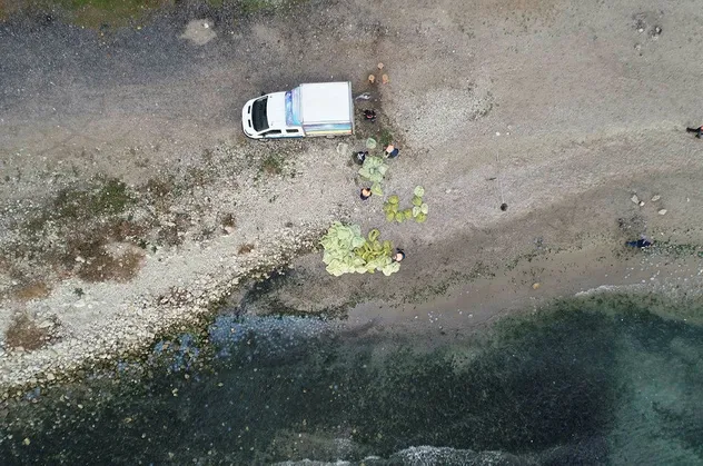 Avcılar'da şoke eden manzara! Topla topla bitmiyor! 10 tonu buldu
