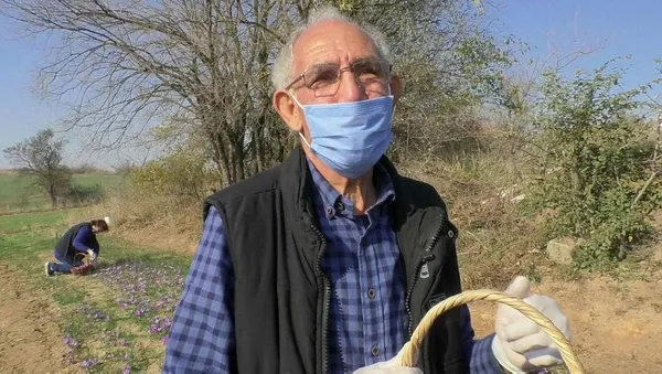Emeklilikten sonra dikti zengin oldu! Safran soğanının kilosu ne kadar?-5