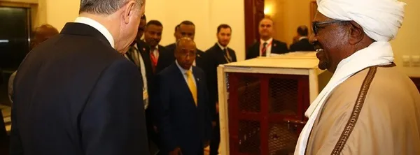 Cumhurbaşkanı Erdoğan'a hediye edilen aslan yavruları için hazırlıklar başladı-4