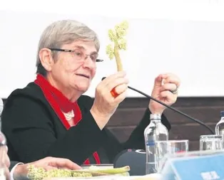 Şaşırtmaya al’ışkın’!