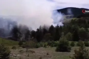 Sinop Boyabat'ta orman yangını!