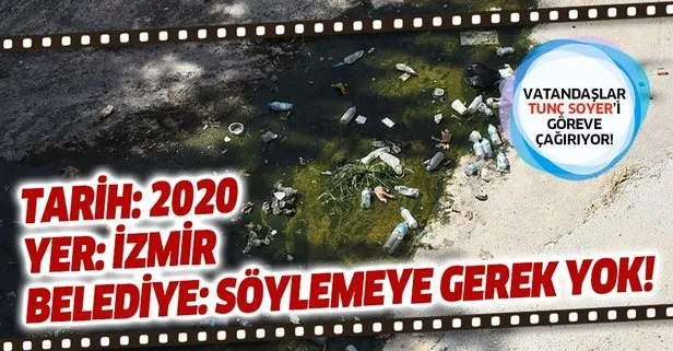 Vatandaşlar Tunç Soyer’i göreve çağırdı! İzmir’in çöp sorununa haşere de eklendi