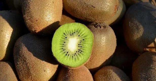 Kivi dişleri güçlendirir