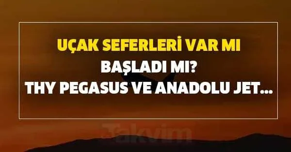 Thy Pegasus Ve Anadolu Jet Sehirler Arasi Ucus Yapacak Mi Ucak Seferleri Var Mi Basladi Mi Takvim