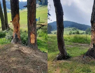 Bartın’da tepki çeken görüntü