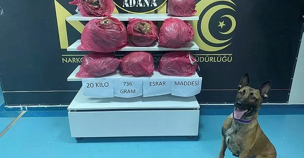 Adana’da minibüste 20 kilo 736 gram esrar ele geçirildi
