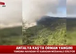 Antalya Kaş'ta orman yangını (Video)
