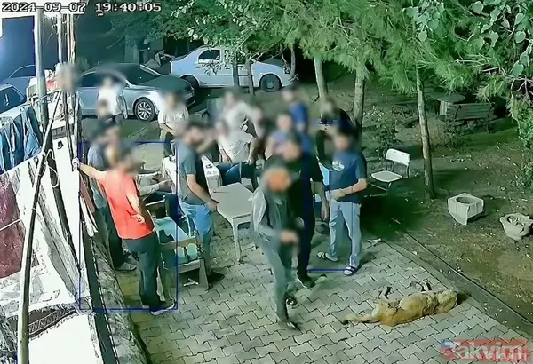 Narin Güran davasında ikinci duruşma! Kilidi çözecek görüntüler mahkemeye sunuldu... Kimler dinlenecek? - 10