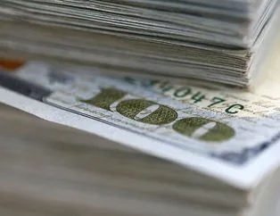 70 milyon dolarlık ithalatı önleyecek