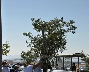 YKS giriş belgesi ağacın dalına takıldı