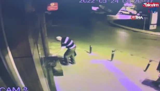 Tadına baktığı çileği beğenince kasasıyla birlikte çaldı: O anlar kamerada