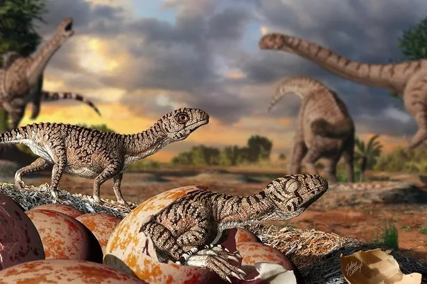 2671den-geldim-dedi-kehanetlerinin-listeni-ifsa-etti-deprem-olacak-4-nisan-13-mayis-4-haziran-18-temmuz-24-agu-1699352518060.jpg 'Deprem olacak' 4 Nisan, 13 Mayıs, 4 Haziran, 18 Temmuz, 24 Ağustos, 18 Eylül tarihlerinde... 2671'den geldim dedi kehanetlerini açıkladı-3