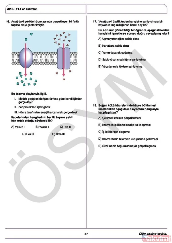 YKS çıkmış sorular ve cevaplar! 2018 YKS çıkmış sorular ve cevap anahtarı - 40