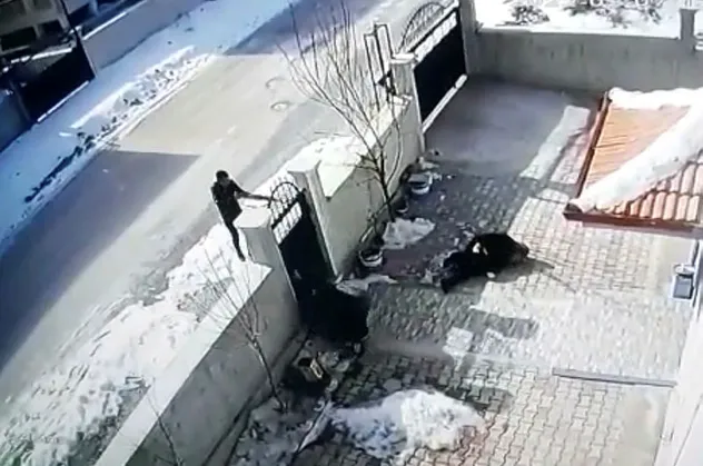 Boşanma aşamasındaki eşi ve kayınvalidesine kurşun yağdırdı! Afyonkarahisar'da pusu kuran damat dehşeti