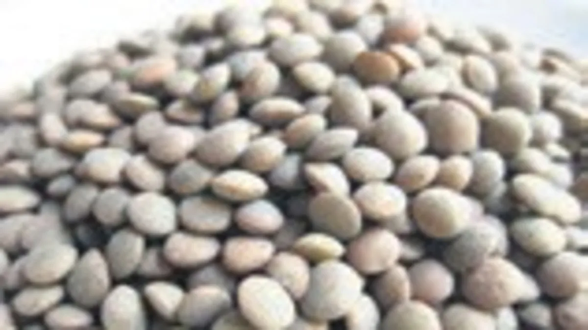 Vitamin deposu mercimeğin faydaları nelerdir?
