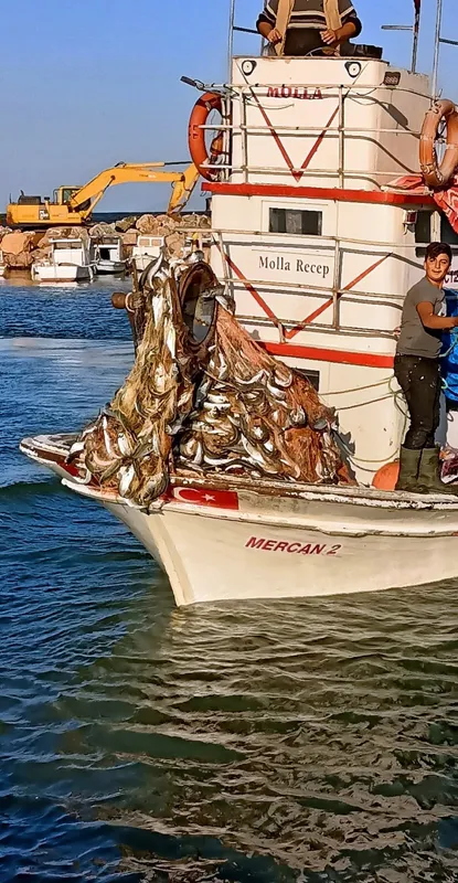 lufer-sezonu-bereketli-geciyor-bir-balikci-canakkale-bogazindan-15-bin-luferle-dondu-1633614845525.jpg Lüfer sezonu bereketli geçiyor! Bir balıkçı Çanakkale Boğazı'ndan 15 bin lüferle döndü-2