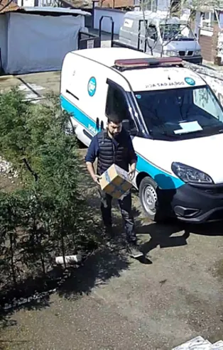 Bahçedeki köpekten korkan kurye ağaca çıktı