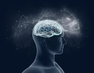 IQ'yu artıran tüyolar!