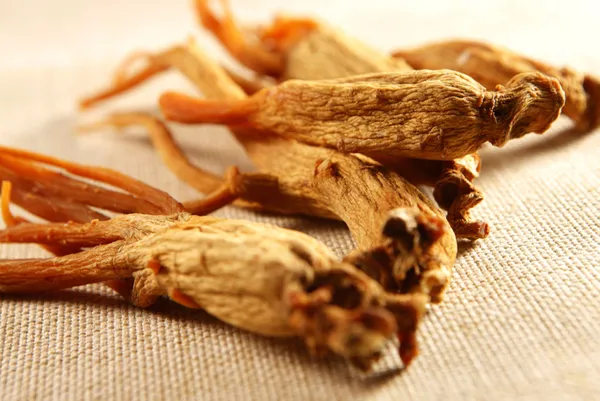 bagisiklik-sistemini-guclendiren-ginseng-pandemide-patlama-yapti-1605335053300.jpg