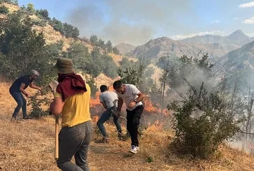 Şemdinli’de çıkan orman yangını korkuttu